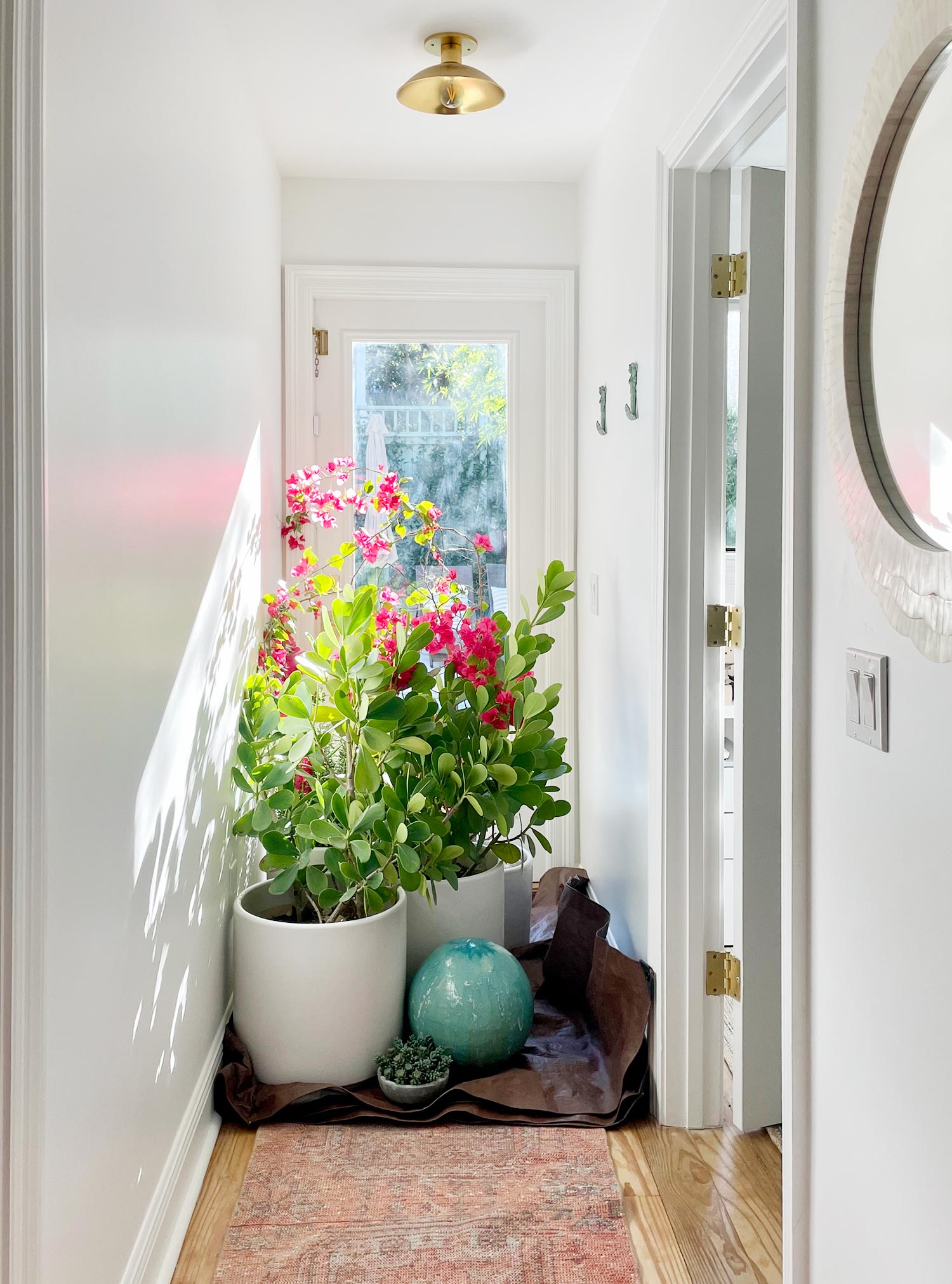 How To Protect Plants From Freezing Young House Love