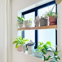 DIY window shelf with plants in pots in bathroom