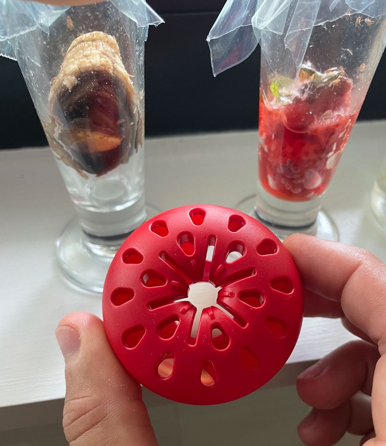 7 Best Effective Traps For Fruit Flies That Actually Make a Difference