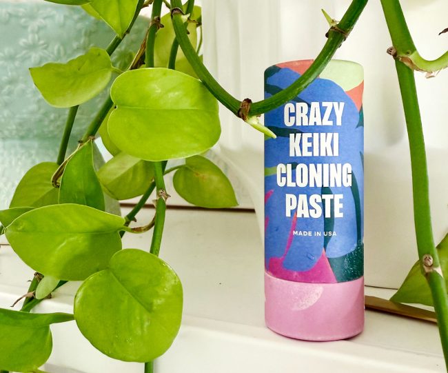 What Is Keiki Paste? And How To Use It On Your Plants