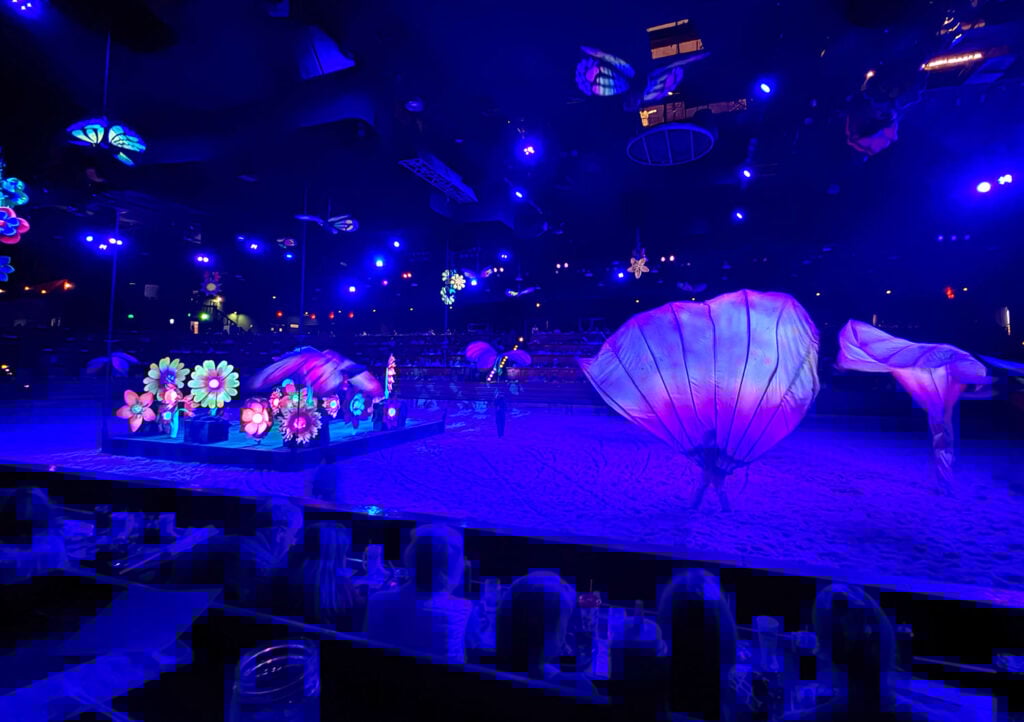 Butterfly Blacklight Scene From Dolly Stampede Dinner Show Pigeon Forge TN