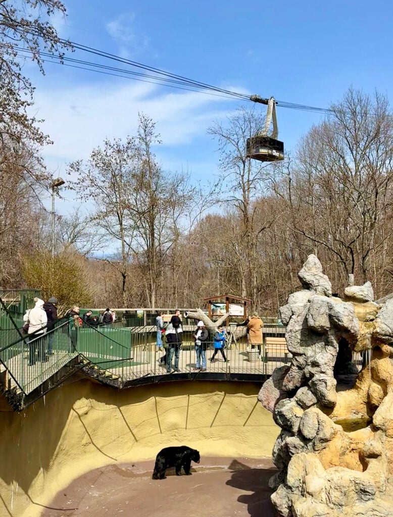 Aerial Tram over Ober Mountain Wildlife Habitat in Gatlinburg TN