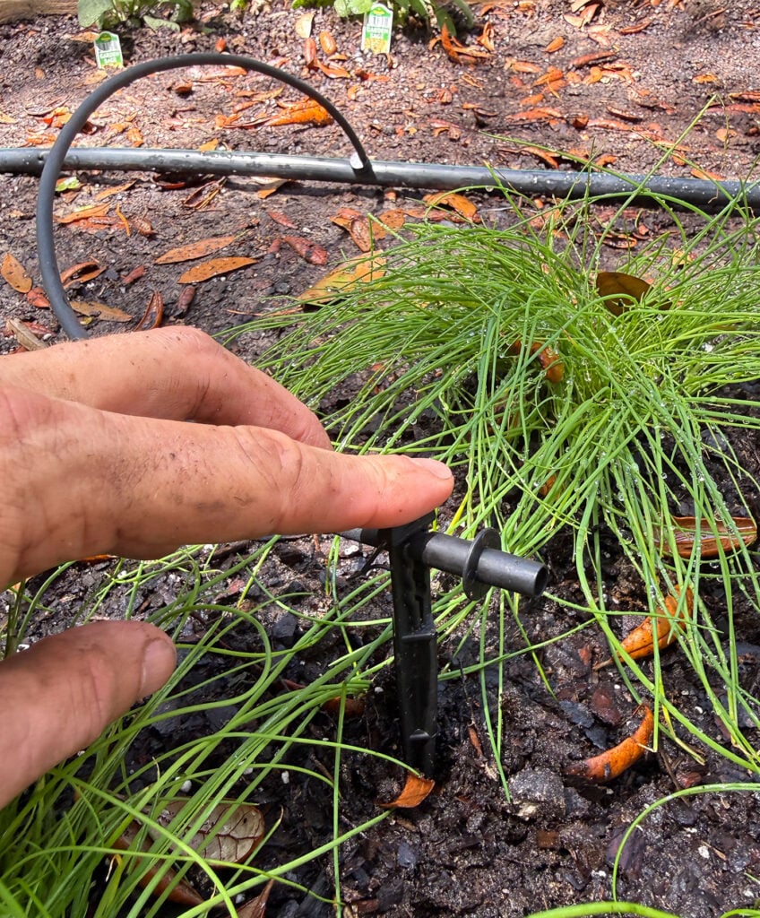 Dripper Stake Added to Drip Irrigation System