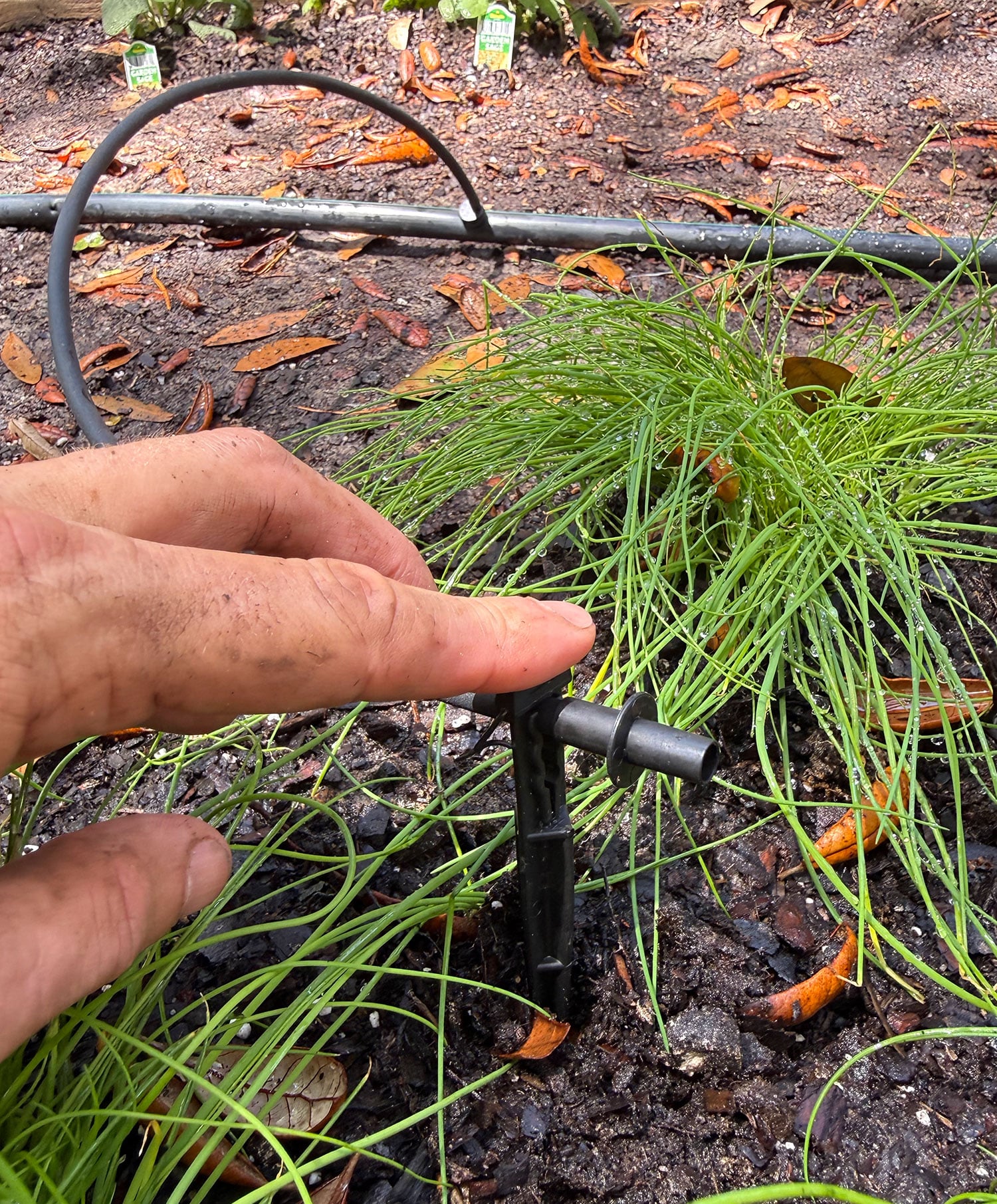 How To Install a Drip Irrigation System | Young House Love