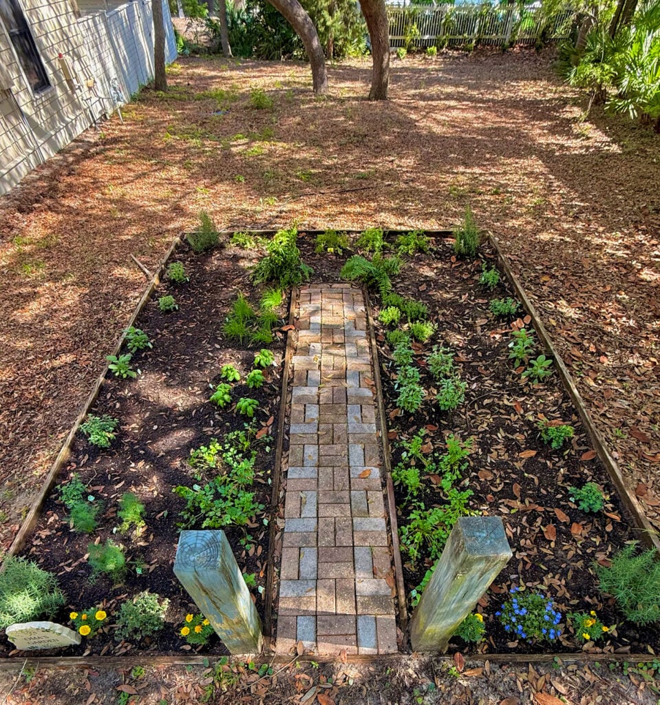 Garden Before Drip Irrigation Is Installed