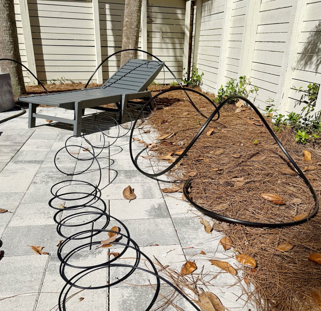 Irrigation Tubing Spread Out In the Sun