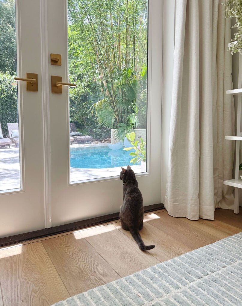 New Floors By Backdoor With Cat Looking Out At Pool